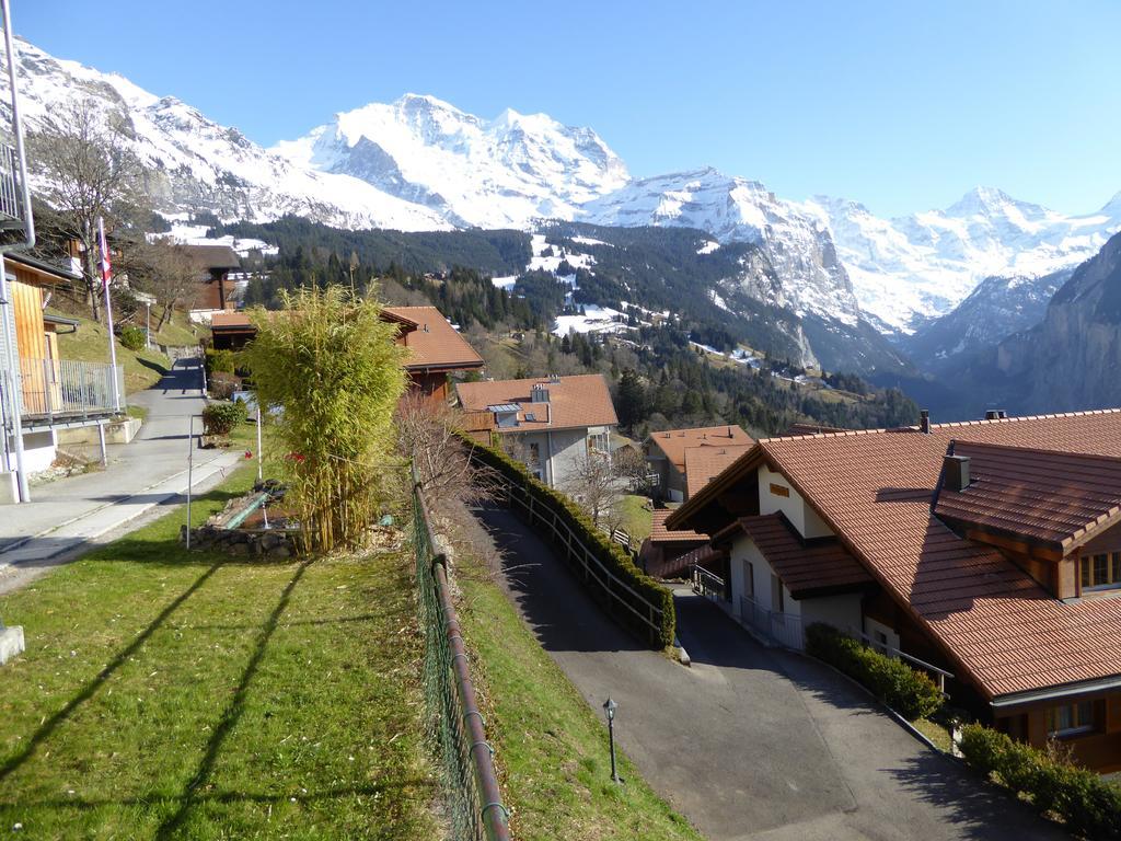 Chalet Gerbera Apartment Wengen Room photo