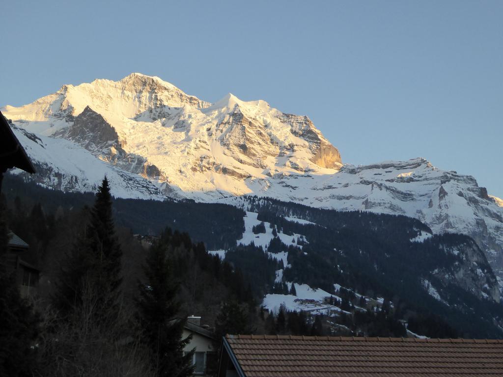 Chalet Gerbera Apartment Wengen Room photo