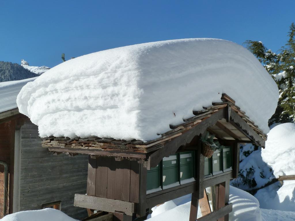 Chalet Gerbera Apartment Wengen Exterior photo