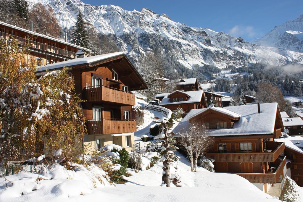 Chalet Gerbera Apartment Wengen Exterior photo